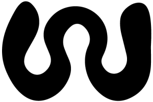 Logo LSN