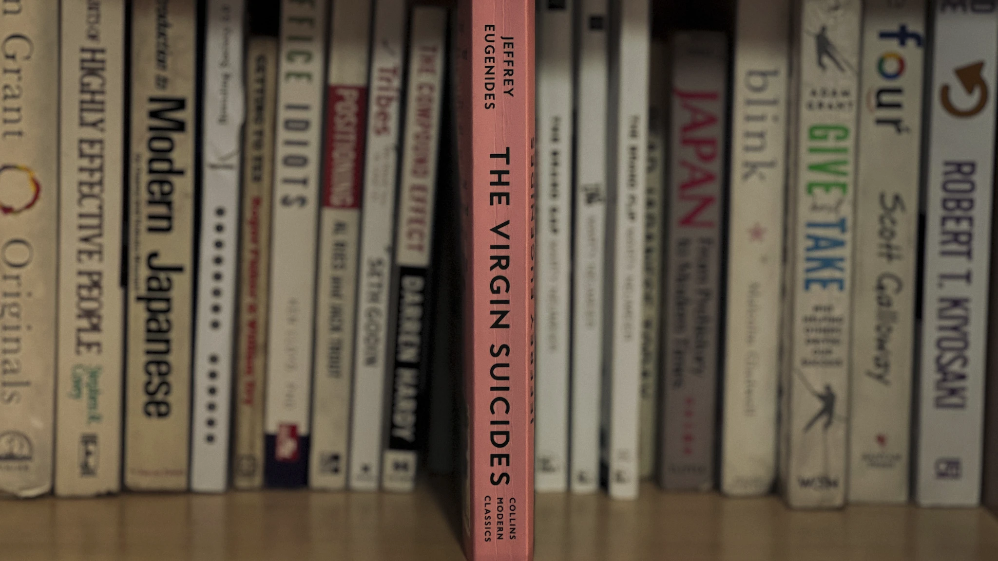a fiction book, The Virgin Suicides by Jeffrey Eugenides